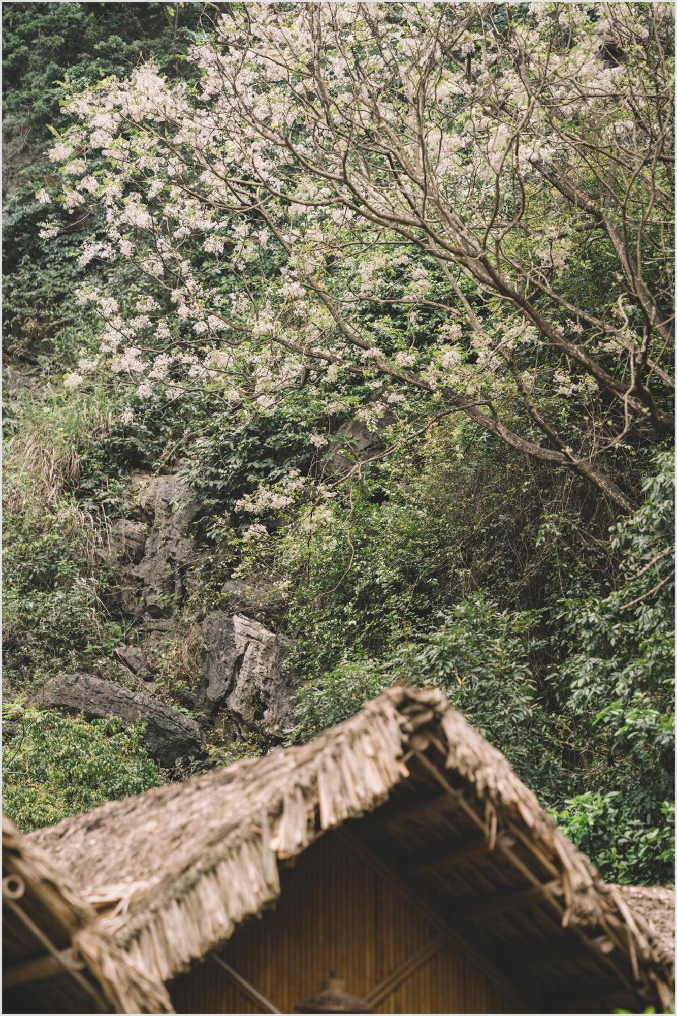 Trang An Mountain House Apartamento Ninh Binh Exterior foto